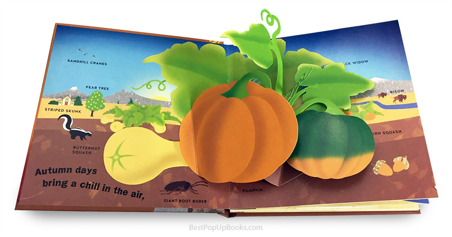 Autumn: A Pop-Up Book