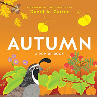 Autumn pop-up book David Carter