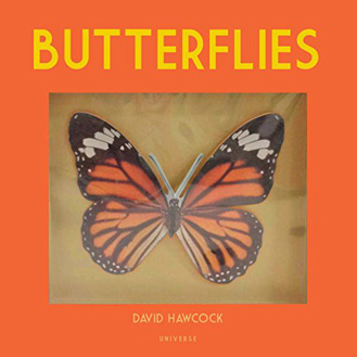 Butterflies pop-up David Hawcock