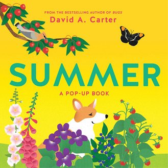Summer pop-up book David Carter