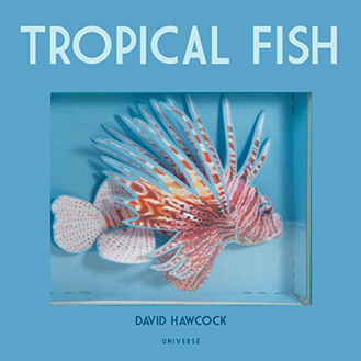 Tropical Fish pop-up David Hawcock